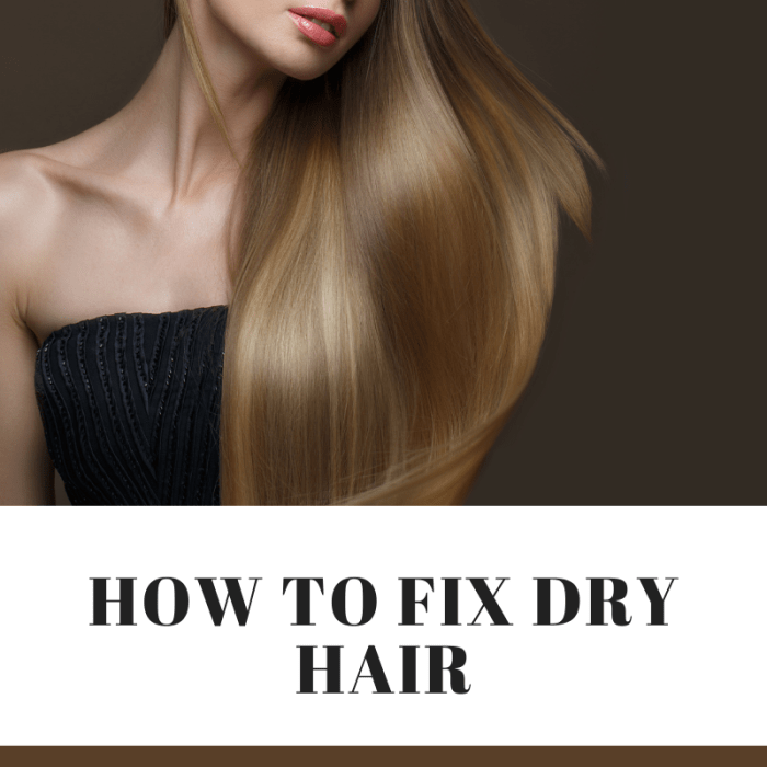 How to Fix Dry Hair  Bellatory Fashion and Beauty