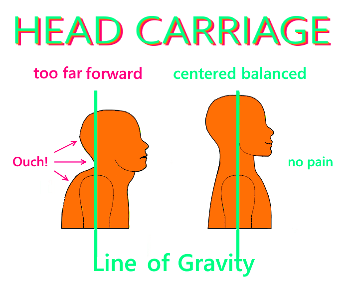 The green line shows the line of gravity. Holding the head in front of the body creates a double chin, a short, over-curved neck and much pain to go with it.