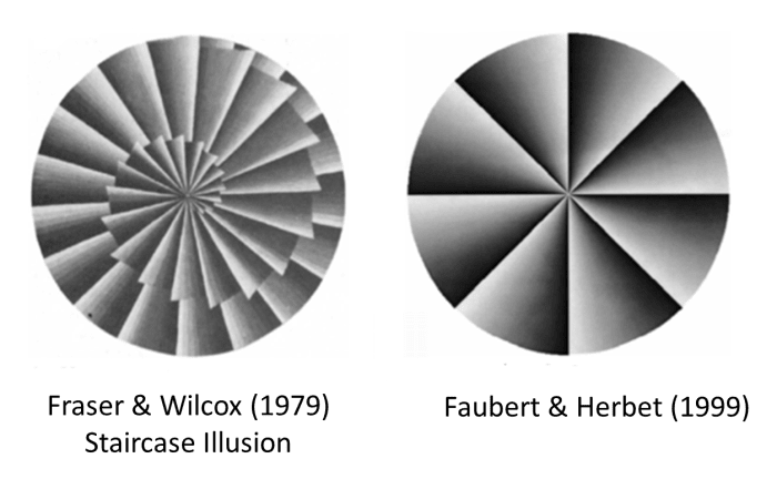 Faubert & Herbert (1999) coined the term 'peripheral drift' to describe these types of visual illusions.