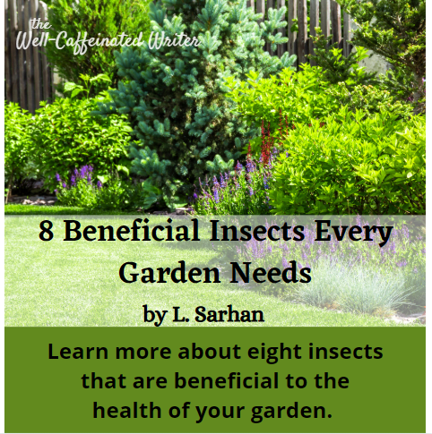 This article gives a list of eight insects that are beneficial to gardens, including what makes them beneficial and how to attract them.