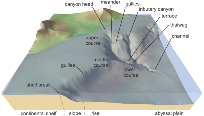 An illustration showing the key features of the ocean floor leading down to the abyssal plain
