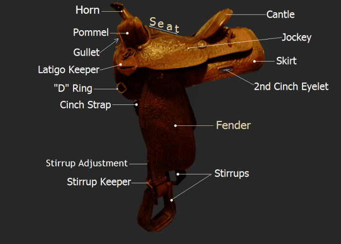 Proper Western Saddle Fit HubPages
