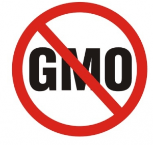 Many countries around the world already have taken action against GMOs. In the United States, legislation is beginning to gain momentum in states like California and Vermont.