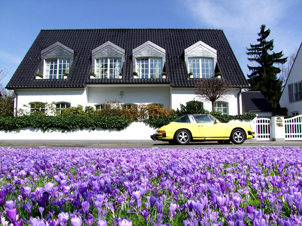 A medium-sized residential building that can be aptly described as a dream home. A compact size and classic style, it overlooks a field of beautiful flowers.
