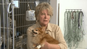 Caught without pet insurance, Molly's owner had to choose between letting Molly live or going into debt.