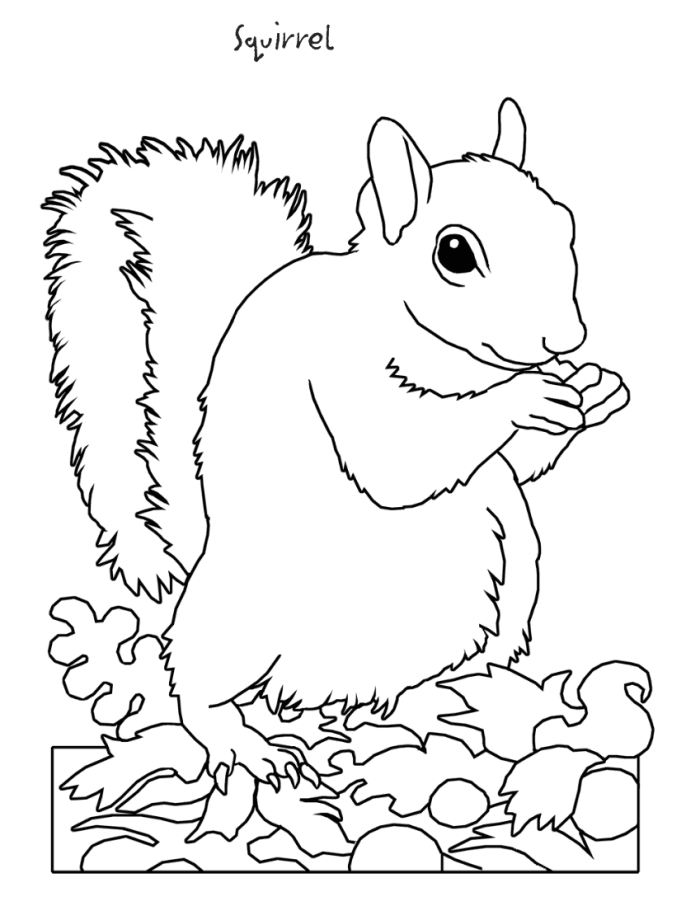 Download Backyard Animals and Nature Coloring Books Free Coloring Pages - HubPages