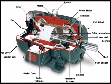 Standard Alternating Current Motor. Smaller models are so economical they can be replaced for less money than it would take to rebuild them.