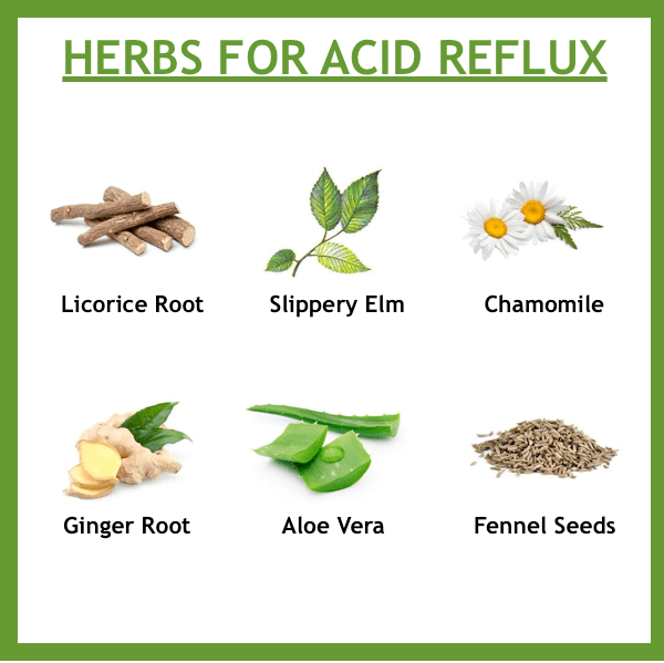 Here is a list of herbal medicines that can help ease and prevent the symptoms of acid reflux. However, please keep in mind, consult with your doctor first before use.