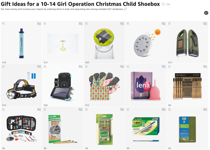 Short on time? My Amazon Idea List has everything you need to pack a life-changing OCC shoebox in one place. Click SOURCE or the link above to view my list!