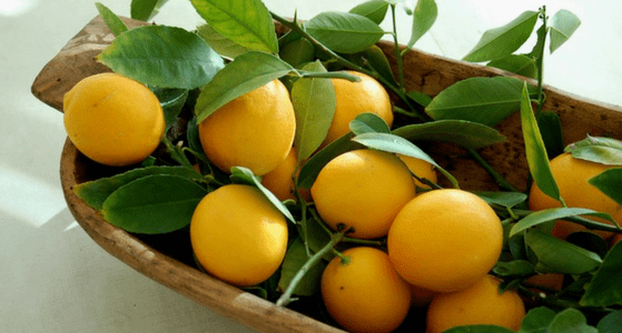 Lucky Lemons on the Dining Table - Better For Your Waistline In Your Fridge in a Pitcher of Water