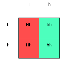 In this Punnett Square, the capital H means the disease is present. Since the HD allele is dominant, only one parent needs to carry it in order for the disease to occur at least 50% of the time.