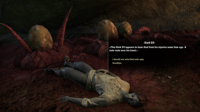 The body of a Dark Elf, found in Lady Llarel's Shelter in the You Have to Break a Few quest of The Elder Scrolls Online.