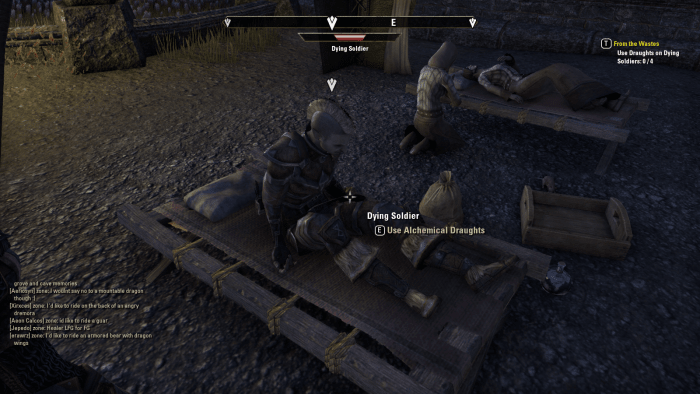 Speaking to an injured soldier during the siege of Iliath Temple in The Elder Scrolls Online's From the Wastes quest.