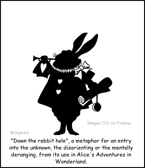 "Down the rabbit hole," a metaphor for an entry into the unknown, the disorienting or mentally deranging, from its use in Alice's Adventures in Wonderland. - Wikipedia
