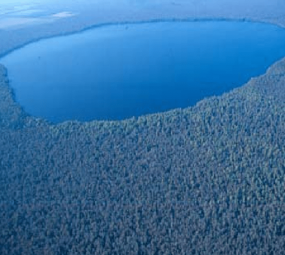 This image or recording is the work of a U.S. Fish and Wildlife Service employee, taken or made as part of that person's official duties. As a work of the U.S. federal government, the image is in the public domain.