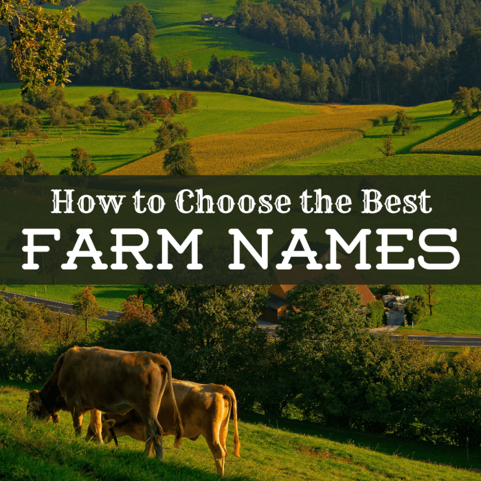 Need a fitting name for your farm, ranch, orchard, homestead, or vineyard? Get tons of name ideas here, and learn how to generate your own.