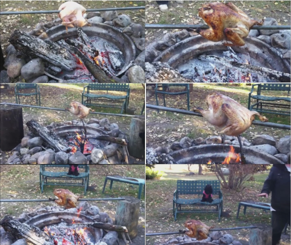 I turn the turkey one quarter turn about every 15 minutes to allow it to cook on all sides. The coal bed must be maintained by adding small amounts of wood to to keep the heat up high.