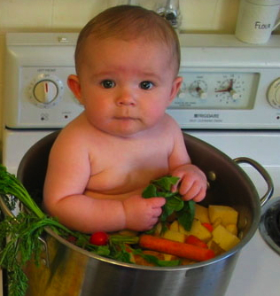 There will be no babies cooked here as Mr. Swift modestly proposes, but a tender young 204b can make a nice lunch if properly prepared.
