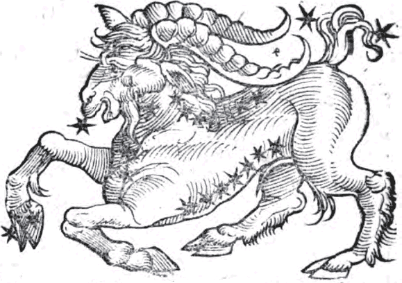 Capricorn by Guido Bonatti
