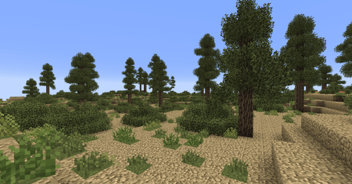 The new biomes are often much more than just repainted grass, they can often come with new terrain blocks, tree types, and sometimes even brand new animals.