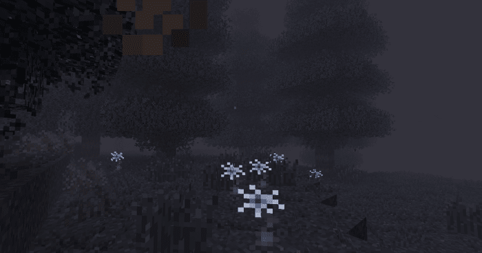 The dense fog, pools of poison, and withering flowers of the Ominous Woods biome are great at convincing players to avoid settling here, but that does not stop it from being my favorite of Biomes O Plenty's new areas.