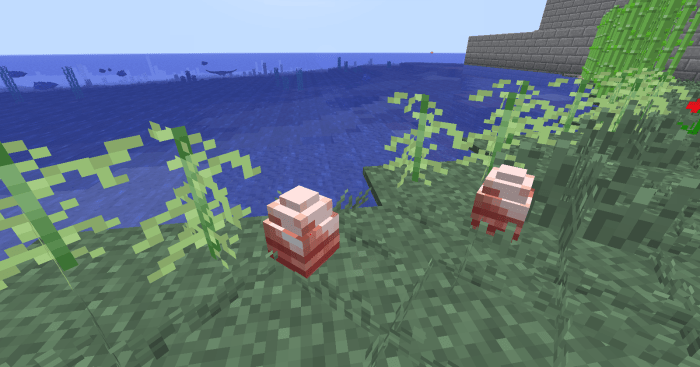 As long as the eggs are left in sunlight and don't have any unusual requirements, they should stay perfectly safe until the creature within is ready to hatch.