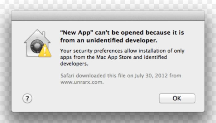 Microsoft is not "unidentified developer". If this box appears, search google for the application and re-download the application. Remember to look for "https" at the beginning of the download page web address.