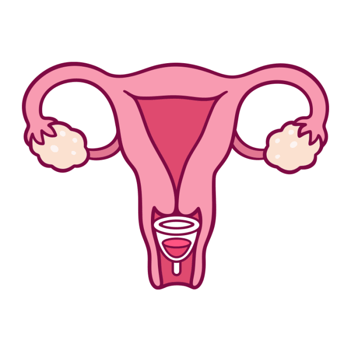 The cervical opening is too small for a cup to pass through. You can even feel your cervical opening with a finger (it feels like the tip of your nose).