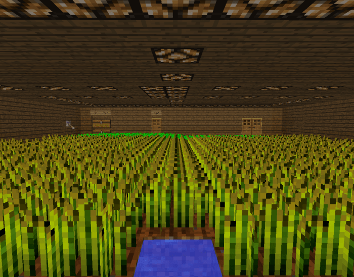 In Minecraft, you can build an underground farm for wheat, potatoes, carrots and more!