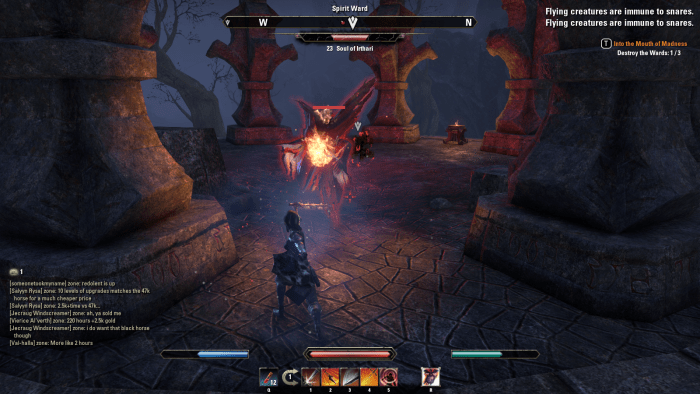 Fighting through Eidolon's Hollow in the Into the Mouth of Madness quest in The Elder Scrolls Online.