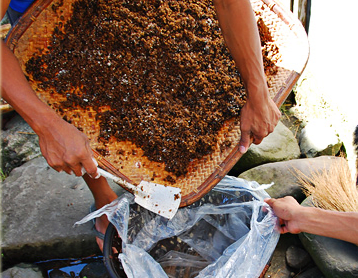 Transfer the rice and bubod mixture inside a plastic bag (Image Credit: AkosiSuperEdwinK from pinoyphotography.org)