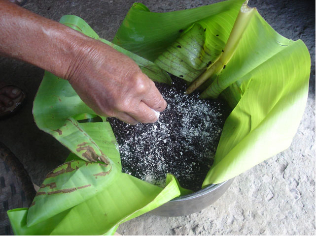 Sprinkle remaining bubod powder over mixture before sealing the banana leaf wrap (Image Credit: Photos by Jun Verzola and Brenda Dacpano/NORDIS from galleries.nordis.net)