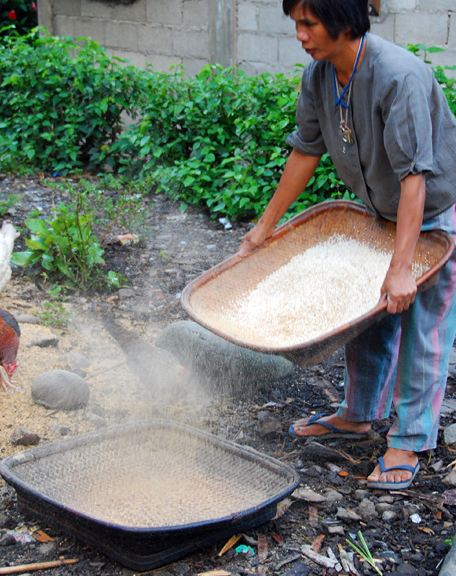Hull Dust and Particles from Pounding the Rice must be Removed During Winnowing (Image Credit: AkosiSuperEdwinK from pinoyphotography.org)