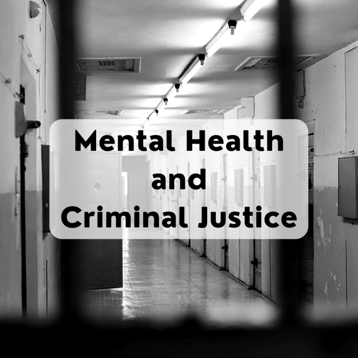 This article considers how budget cuts to mental health programs have led many consumers to wind up in the criminal justice system.