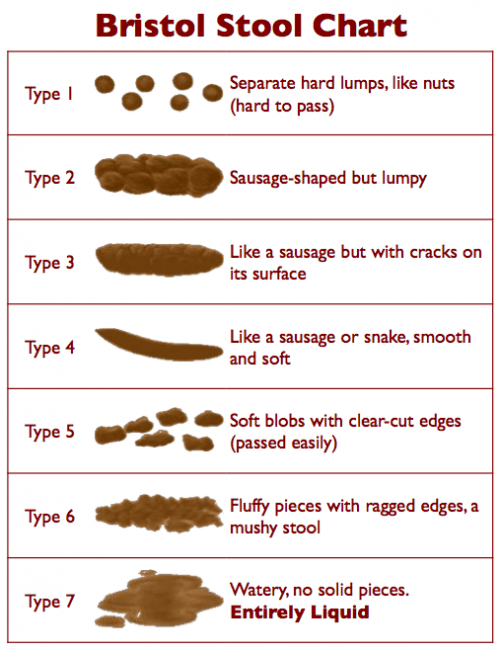 The concept by Professor DCA Candy and Emma Davey, based on the Bristol Stool Form SCale produced by Dr KW Heaton.