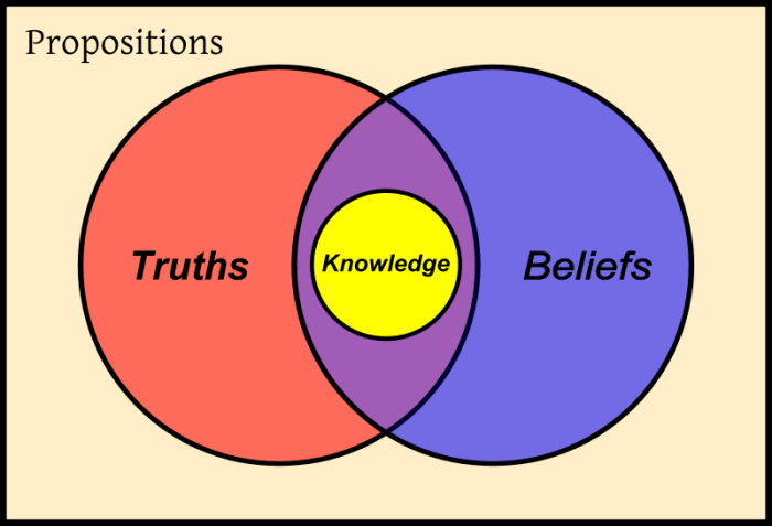 a coherence theory of truth and knowledge pdf