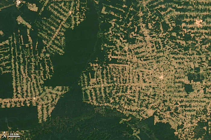 Satellite view of deforestation in Rondônia, western Brazil, 2012, by NASA, modified by author. Original page shows progression from 2000.