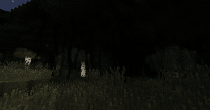 The Dark Forest is never a welcoming place, but unless you have slain the Hydra, it will inflict you with blindness whenever you attempt to travel through it.
