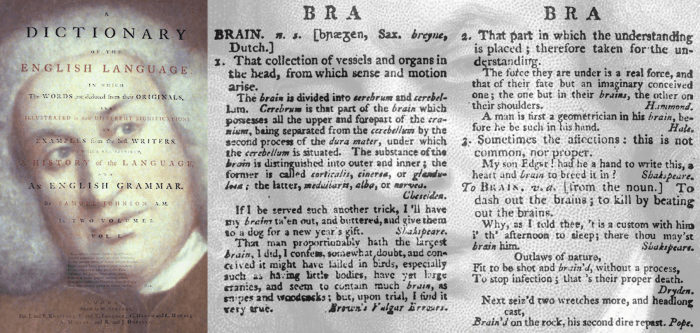 An excerpt from Dr Samuel Johnson's famous dictionary of the mid-18th Century. His work took him several decades to compile before he was ready to publish