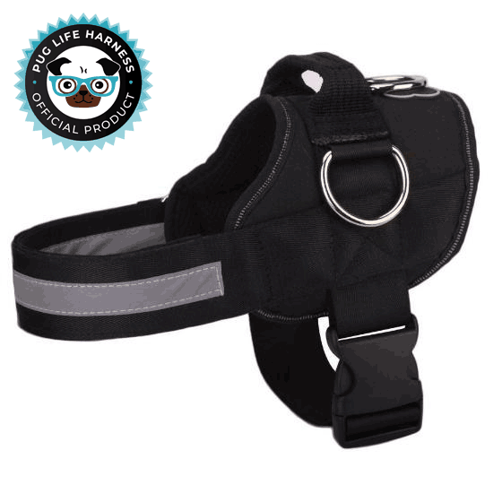 This is what the Pug Life harness looks like, which slips over the head and buckles in the front. It works very well.