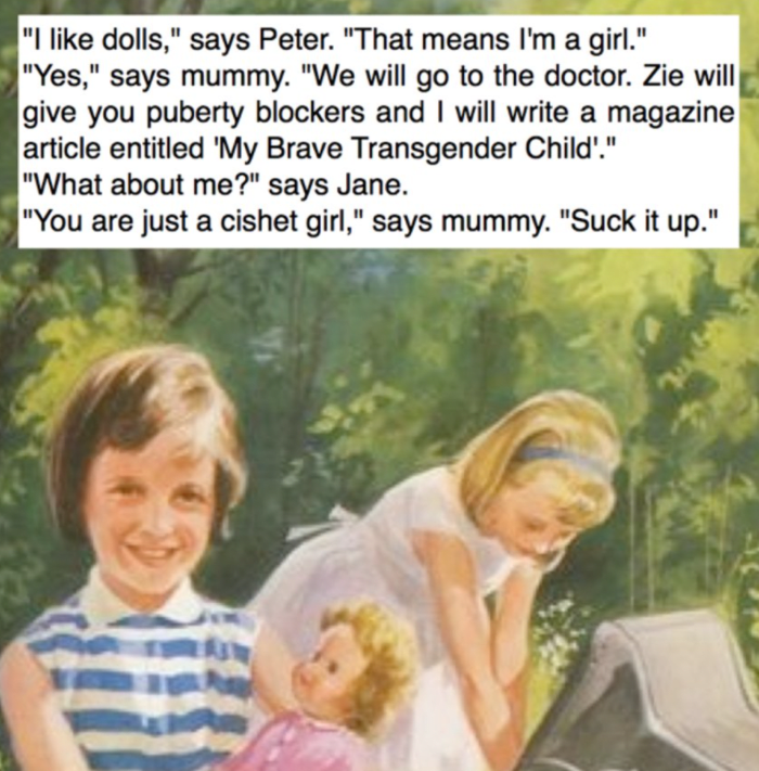 LGB campaigners are worried about teenagers being transitioned and sterilised without sufficient guidance