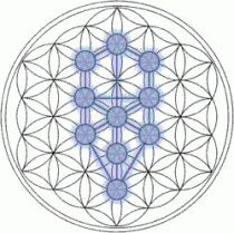 The Tree of Life fits inside the Flower of Life easily, showing why this symbol of the ancients was an important source of knowledge.