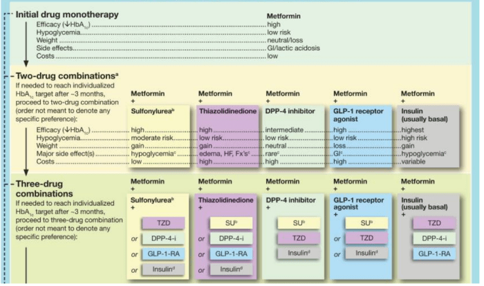 How to Prevent, Treat, and Manage Type-2 Diabetes Mellitus? - HubPages