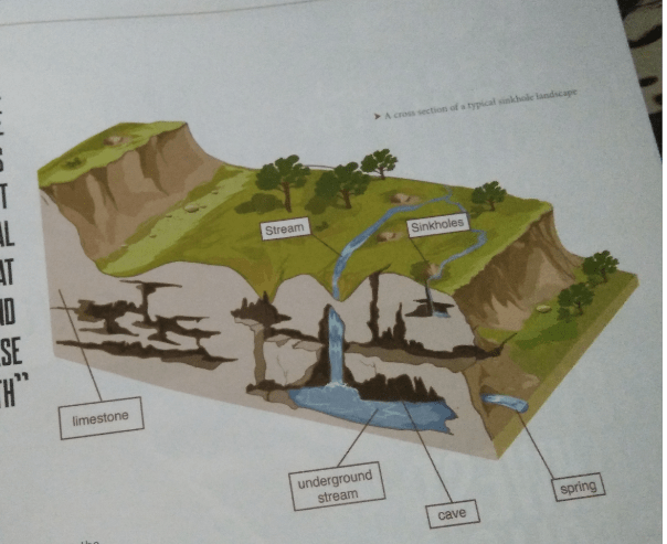 Each hole has unique ecosystems with many plant and animal species that cannot be found anywhere else on earth.
