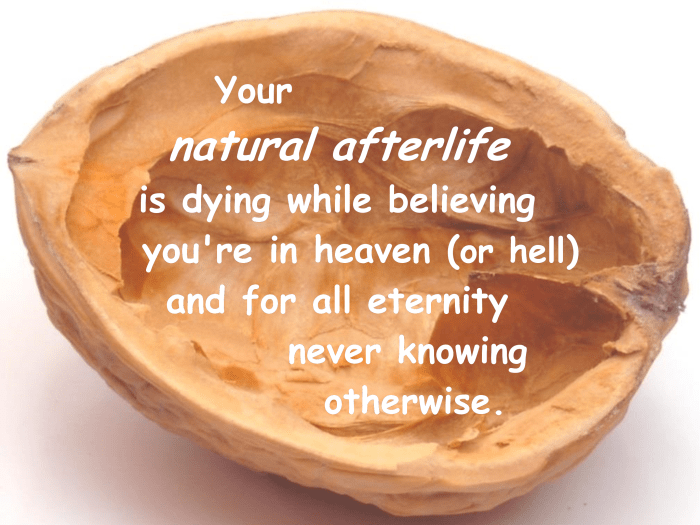 In a nutshell, a simple description of your natural afterlife