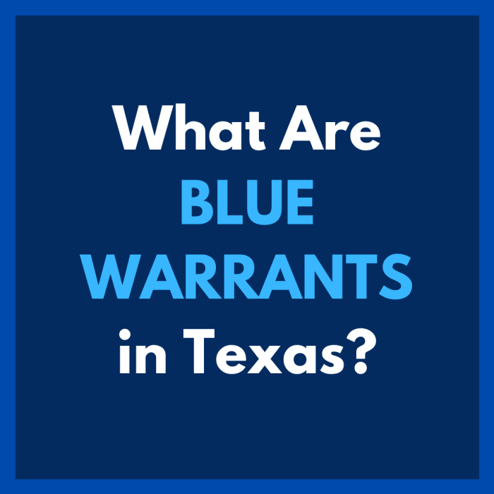 What Are Texas Blue Warrants? - Soapboxie