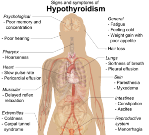 It helps to get your thyroid checked by an integrative physician (practices orthodox and alternative medicine). Be sure to have your eyebrows and tongue examined also.