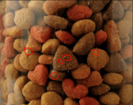 Figure 12. You can see small white dots in the image (surrounded by a red circle) if you look closely. These are grain storage mites. Although tiny, you can see them with your eyes walking on the pet food pellets.