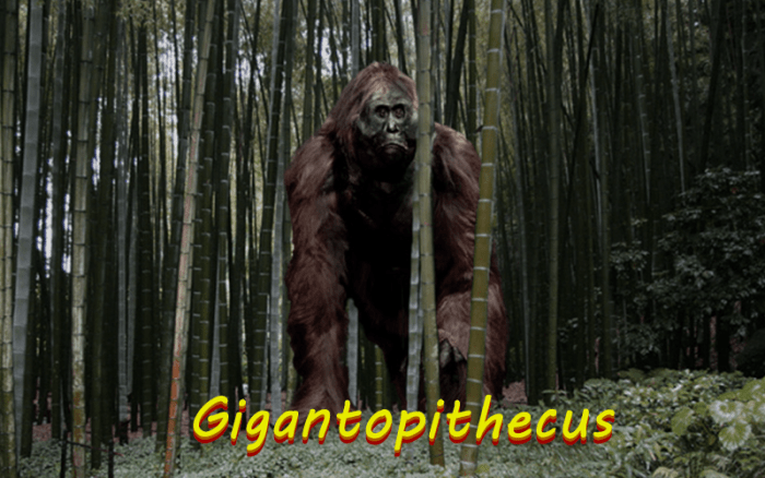 The Gigantopithecus is a massive Asian primate that many people believe inspired folklore like Bigfoot and the Yeti.