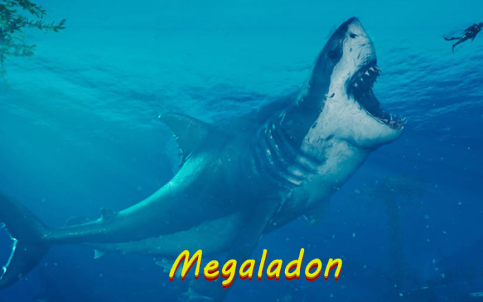 The Megaladon is one of the largest sharks to have ever existed, not much else differs them from the blood thirsty versions was have in our oceans today.